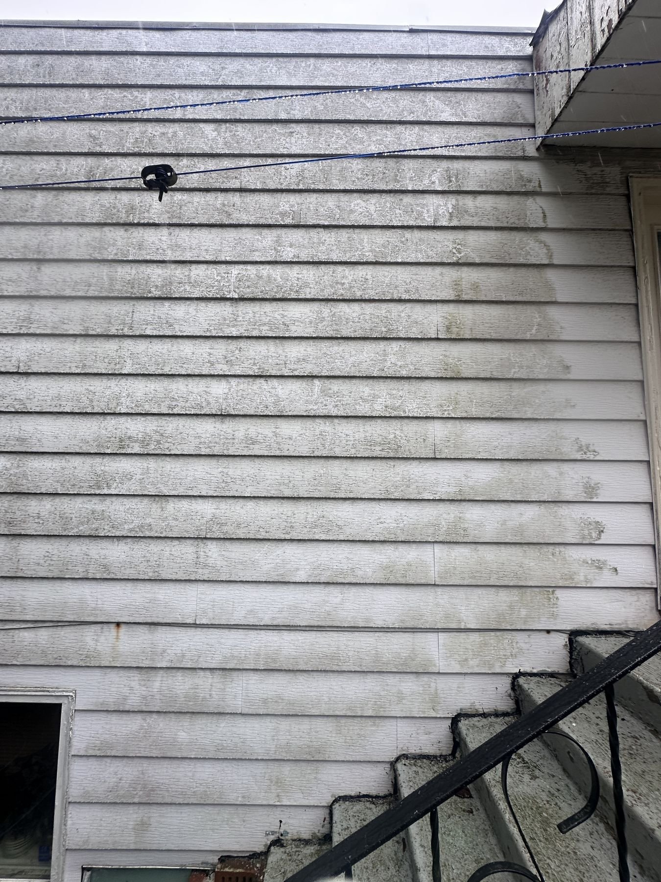 Heavy grey algae and mold coverage across vinyl siding on a Halifax, NS home