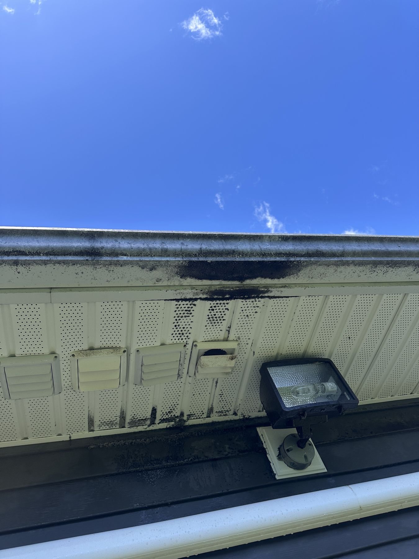 Black algae spotting on a soffit and vent near the roofline of a Halifax home