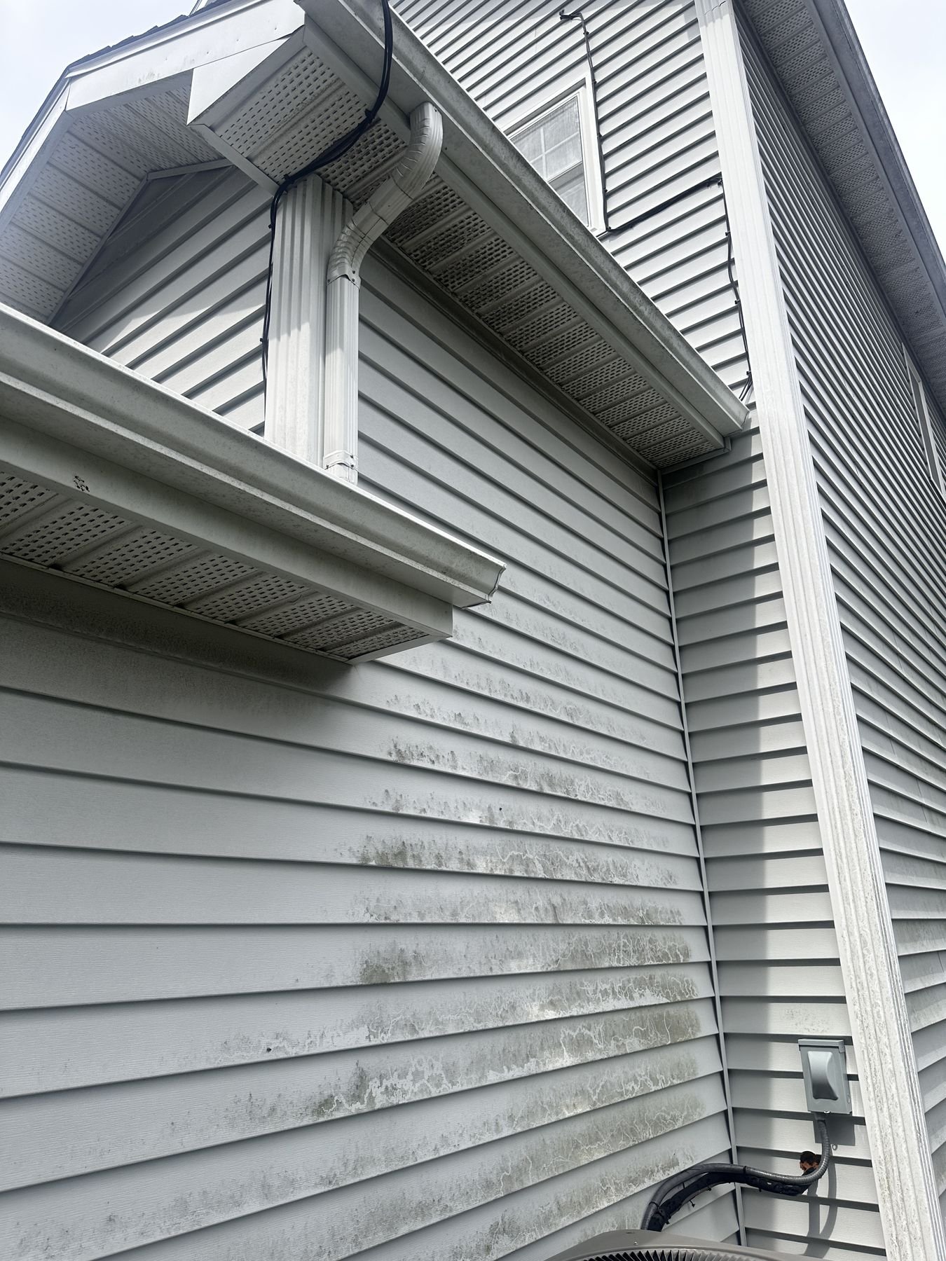 Algae streaking at the corner where soffit meets siding above a downspout